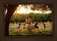 Load image into Gallery viewer, Tending the Flock
