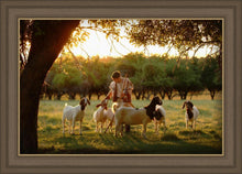 Load image into Gallery viewer, Tending the Flock
