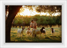 Load image into Gallery viewer, Tending the Flock
