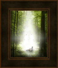 Load image into Gallery viewer, Oh How Lovely Was The Morning
