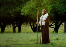 Load image into Gallery viewer, Lord Of The Vineyard
