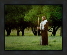 Load image into Gallery viewer, Lord Of The Vineyard

