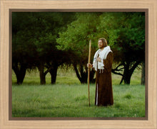 Load image into Gallery viewer, Lord Of The Vineyard

