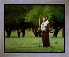 Load image into Gallery viewer, Lord Of The Vineyard
