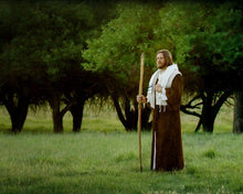Load image into Gallery viewer, Lord Of The Vineyard
