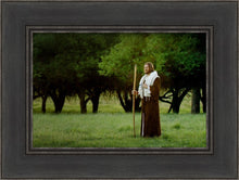 Load image into Gallery viewer, Lord Of The Vineyard
