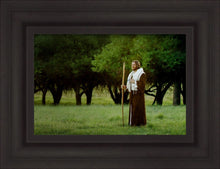 Load image into Gallery viewer, Lord Of The Vineyard
