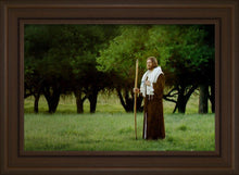 Load image into Gallery viewer, Lord Of The Vineyard
