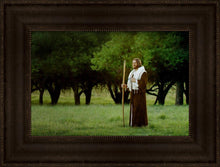 Load image into Gallery viewer, Lord Of The Vineyard
