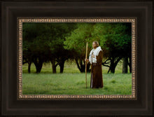 Load image into Gallery viewer, Lord Of The Vineyard
