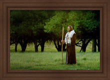 Load image into Gallery viewer, Lord Of The Vineyard
