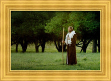 Load image into Gallery viewer, Lord Of The Vineyard
