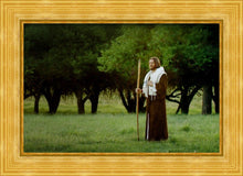Load image into Gallery viewer, Lord Of The Vineyard
