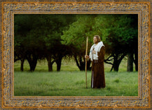 Load image into Gallery viewer, Lord Of The Vineyard
