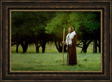 Load image into Gallery viewer, Lord Of The Vineyard
