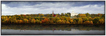 Load image into Gallery viewer, Autumn Splendor
