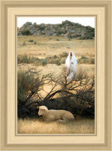 Load image into Gallery viewer, He Will Find Me
