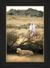 Load image into Gallery viewer, He Will Find Me
