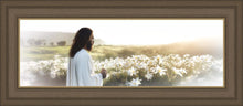Load image into Gallery viewer, Consider The Lilies
