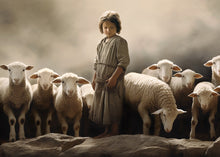 Load image into Gallery viewer, Of Lambs and Shepherds
