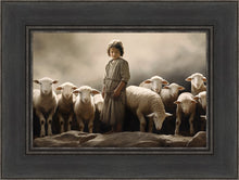 Load image into Gallery viewer, Of Lambs and Shepherds
