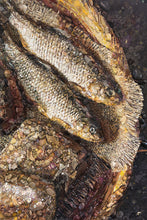 Load image into Gallery viewer, Enough
