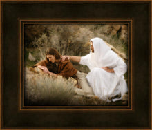 Load image into Gallery viewer, The Comforter
