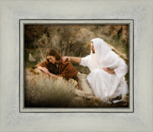 Load image into Gallery viewer, The Comforter
