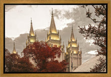 Load image into Gallery viewer, Salt Lake Temple 05
