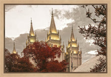 Load image into Gallery viewer, Salt Lake Temple 05
