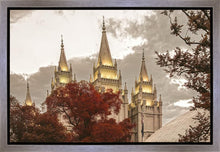 Load image into Gallery viewer, Salt Lake Temple 05
