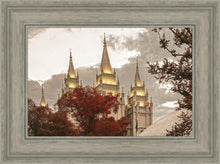 Load image into Gallery viewer, Salt Lake Temple 05
