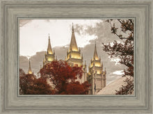 Load image into Gallery viewer, Salt Lake Temple 05
