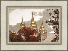 Load image into Gallery viewer, Salt Lake Temple 05
