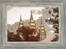 Load image into Gallery viewer, Salt Lake Temple 05
