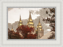 Load image into Gallery viewer, Salt Lake Temple 05

