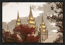 Load image into Gallery viewer, Salt Lake Temple 05
