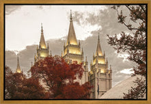 Load image into Gallery viewer, Salt Lake Temple 05
