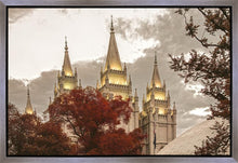 Load image into Gallery viewer, Salt Lake Temple 05
