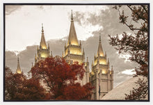 Load image into Gallery viewer, Salt Lake Temple 05
