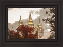 Load image into Gallery viewer, Salt Lake Temple 05
