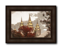 Load image into Gallery viewer, Salt Lake Temple 05

