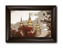 Load image into Gallery viewer, Salt Lake Temple 05
