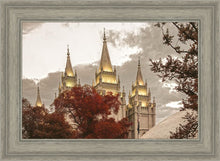 Load image into Gallery viewer, Salt Lake Temple 05
