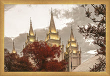 Load image into Gallery viewer, Salt Lake Temple 05
