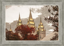 Load image into Gallery viewer, Salt Lake Temple 05
