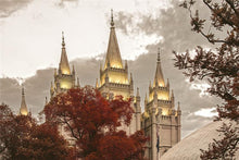 Load image into Gallery viewer, Salt Lake Temple 05
