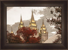 Load image into Gallery viewer, Salt Lake Temple 05
