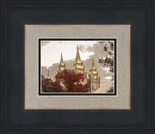 Load image into Gallery viewer, Salt Lake Temple 05
