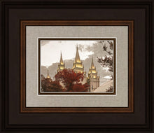 Load image into Gallery viewer, Salt Lake Temple 05
